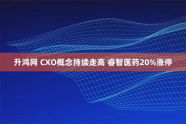 升鸿网 CXO概念持续走高 睿智医药20%涨停
