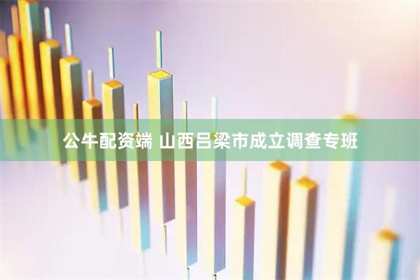 公牛配资端 山西吕梁市成立调查专班
